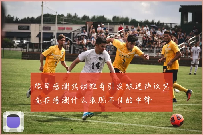 绿军感谢武切维奇引发球迷热议究竟在感谢什么表现不佳的中锋