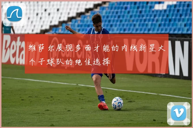 维萨尔展现多面才能的内线新星大个子球队的绝佳选择
