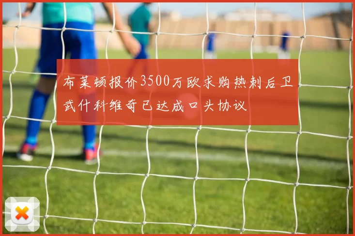 布莱顿报价3500万欧求购热刺后卫武什科维奇已达成口头协议