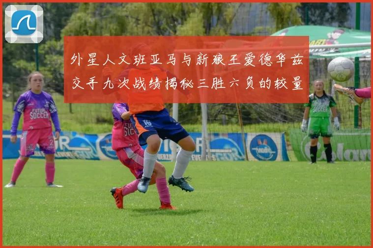 外星人文班亚马与新狼王爱德华兹交手九次战绩揭秘三胜六负的较量分析